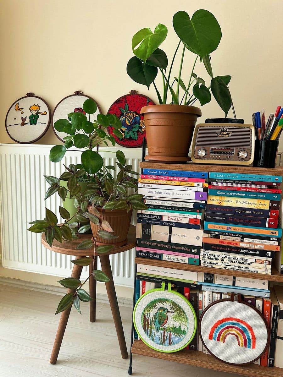 Cozy lived-in living room with bookshelf, plants, and daylight — first-30-days visual (Pexels stock by Hatice).