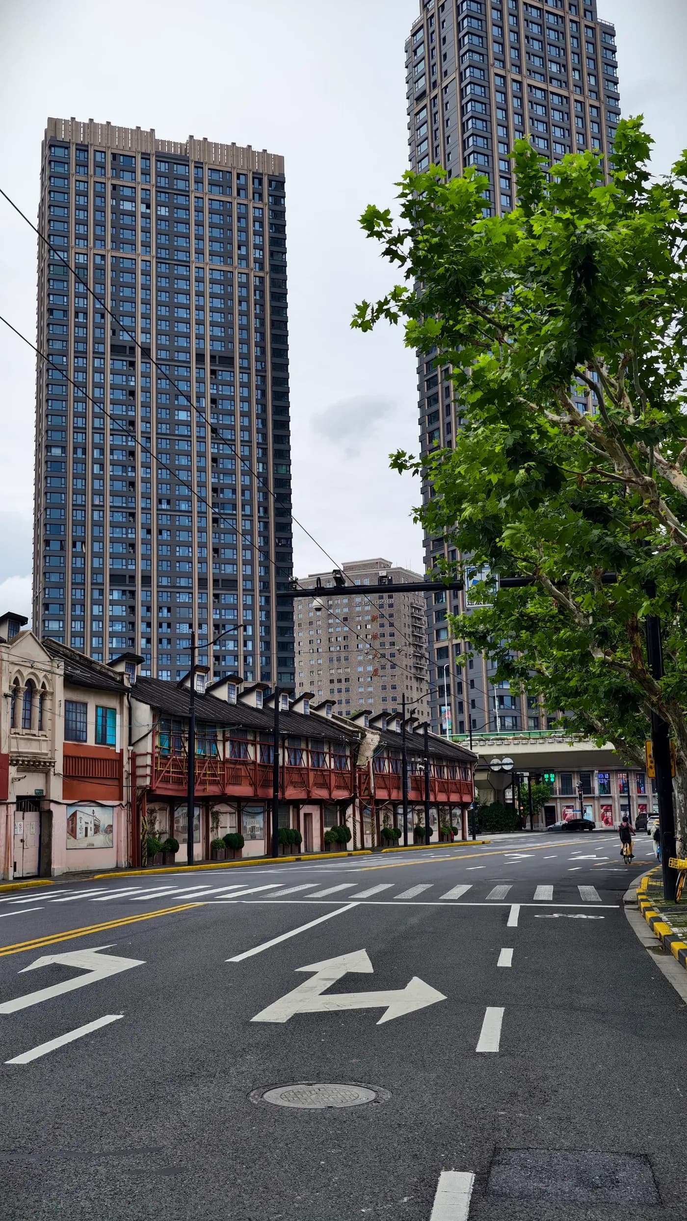 A tree-lined section of Xinzha Road in central Shanghai