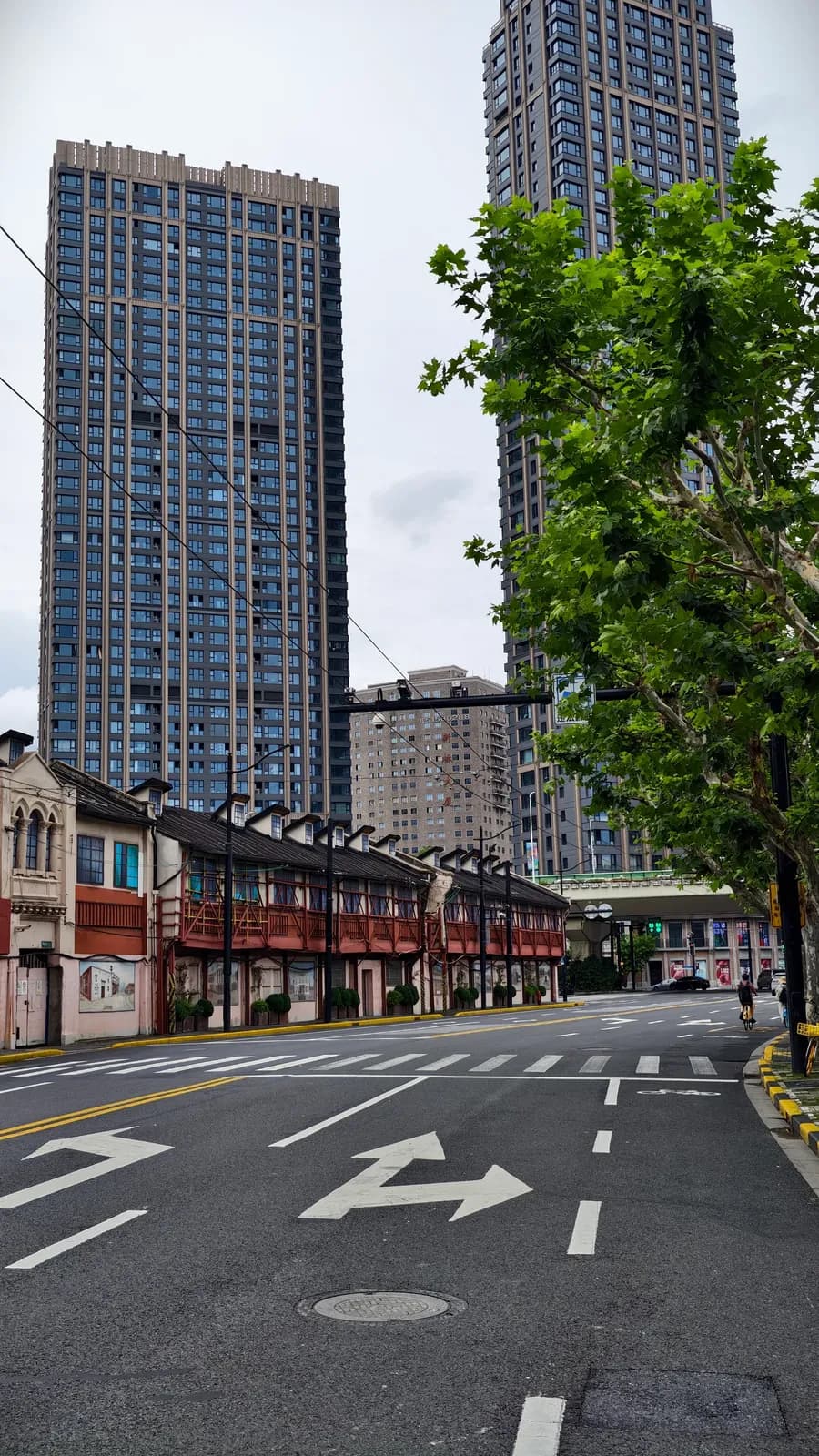 A tree-lined section of Xinzha Road in central Shanghai