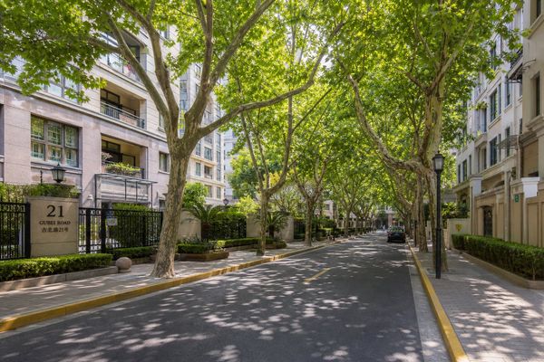 Tree-lined residential street in Gubei, Hongqiao — established expat community with strong school access