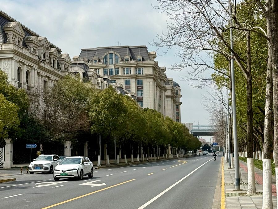 A tree-lined street in Shanghai’s former French Concession — placeholder image.