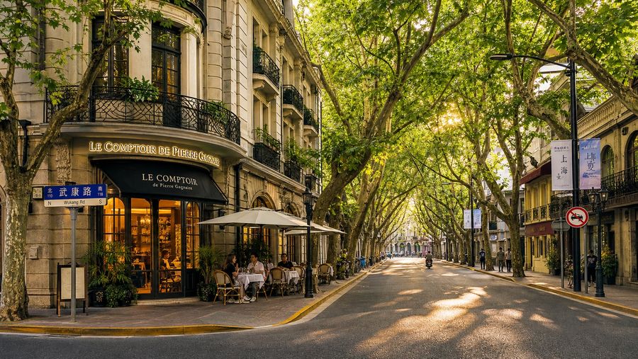 Tree-lined plane-tree street in Shanghai's Former French Concession — premium expat neighborhood